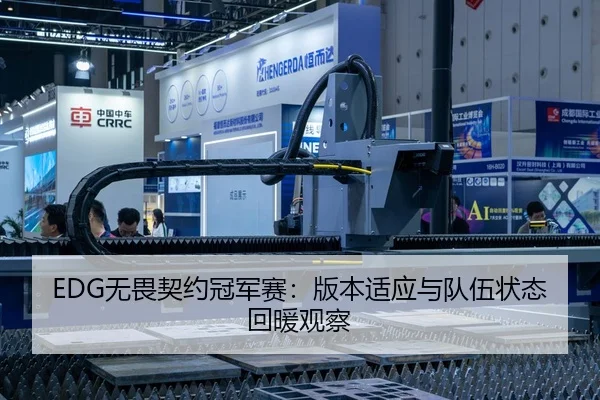 EDG无畏契约冠军赛：版本适应与队伍状态回暖观察