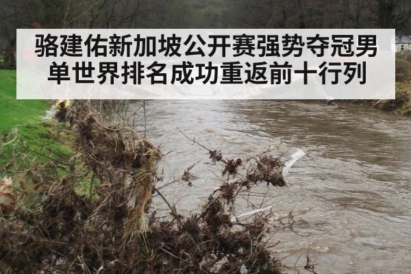 骆建佑新加坡公开赛强势夺冠男单世界排名成功重返前十行列